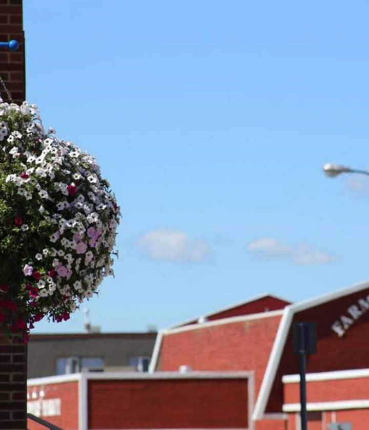 things to do in grande prairie
