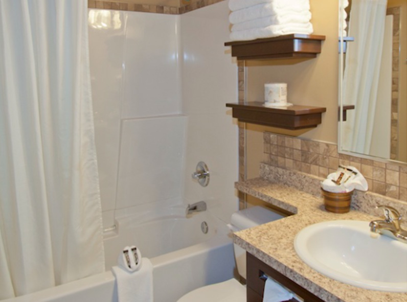 Mountain View Lodge Room Bathroom